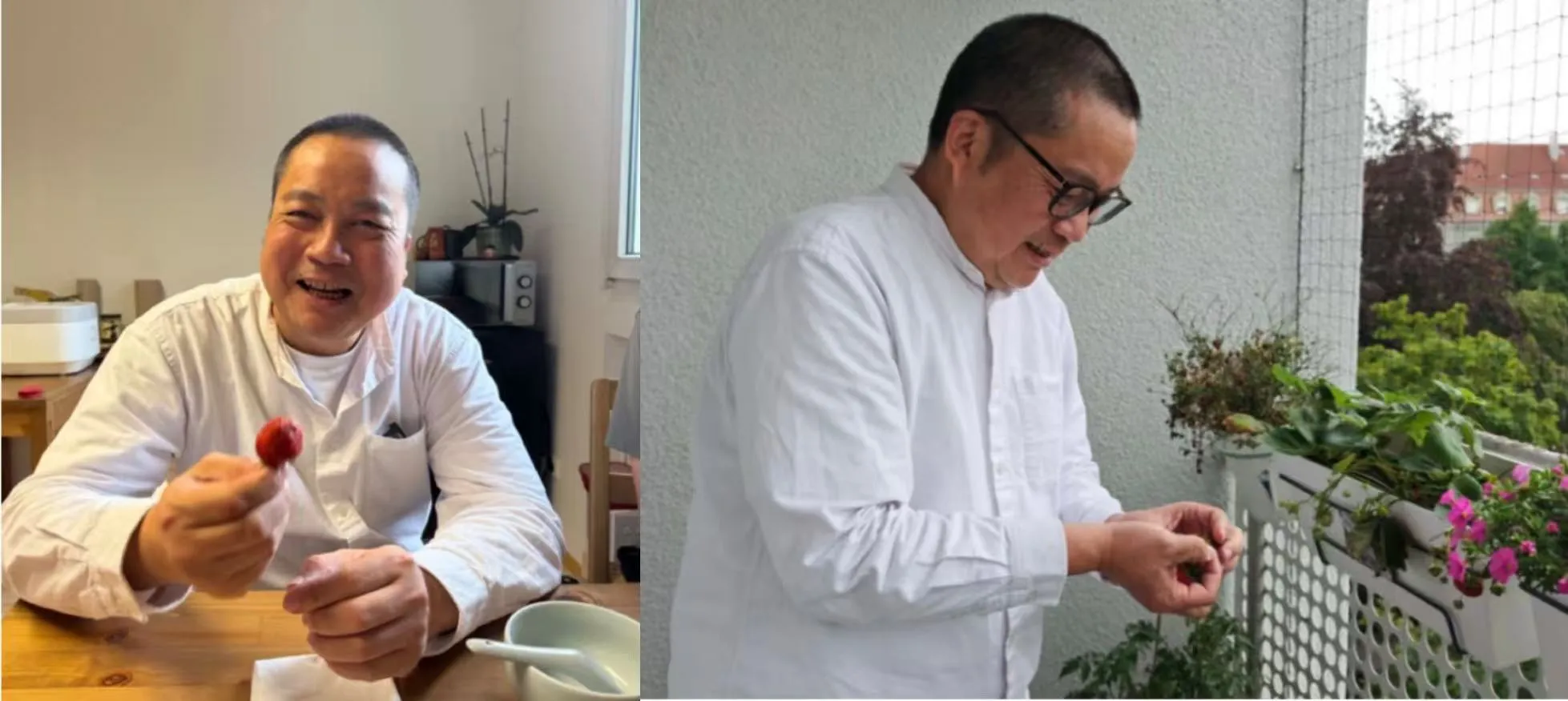 暖心小插曲:专属 “按导草莓”,种下扎根欧洲的善愿